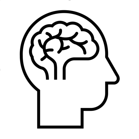 outline of head and brain